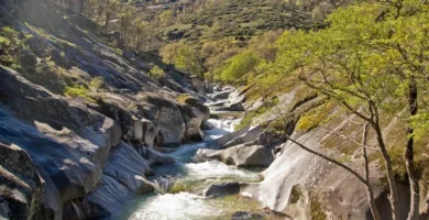 Valle del Jerte | Turismo Cáceres