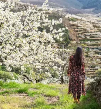 Descubre los rincones más espectaculares de Cáceres esta primavera