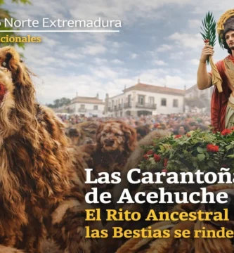Las Carantoñas de Acehuche 2026: El Rito Ancestral donde las Bestias se rinden ante el Santo